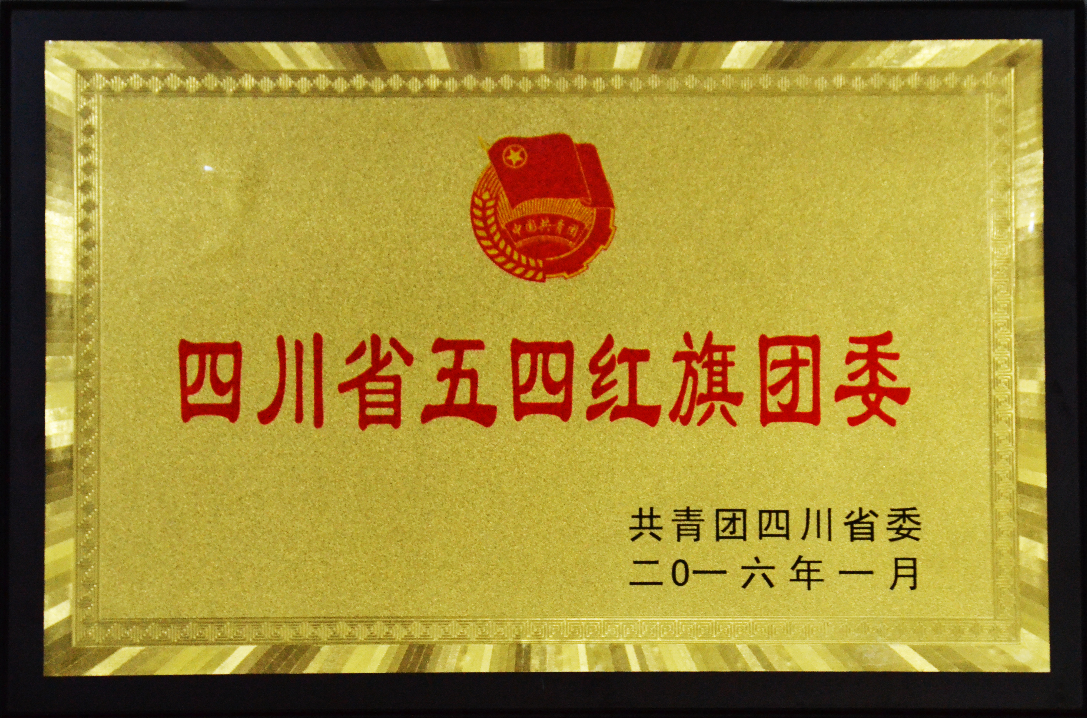 四川省五四紅旗團(tuán)委